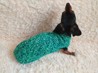 Knitted sweater with aran for mini dachshund or small dog dachshundknit