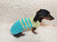 Size L Blue and yellow sweater knitted with aran for mini dachshund or small dog