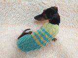 Size L Blue and yellow sweater knitted with aran for mini dachshund or small dog