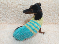 Size L Blue and yellow sweater knitted with aran for mini dachshund or small dog