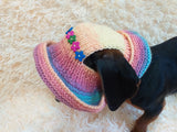 Rainbow panama hat with flowers for a dog, Summer hat for a dog with flowers, summer hat with flowers for a dachshund or small dog