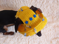 Summer hat for a dog with flowers, summer hat with flowers for a dachshund or small dog dachshundknit