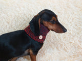 Wool scarf snood for dog with flower, scarf snood for small dogs, snood for dachshund, scarf for dachshund dachshundknit