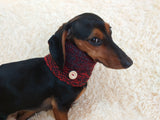 Wool scarf snood for dog with flower, scarf snood for small dogs, snood for dachshund, scarf for dachshund dachshundknit