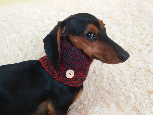 Wool scarf snood for dog with flower, scarf snood for small dogs, snood for dachshund, scarf for dachshund dachshundknit