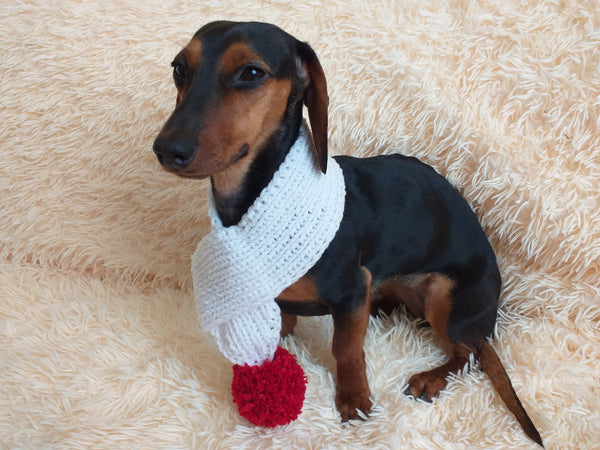 Christmas scarf for dog with pompom dachshundknit