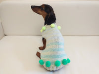 Christmas sweater with pom-poms for mini dachshund or small dog