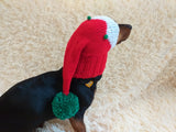 Christmas hat elf with pom-poms for dachshund or small dog dachshundknit