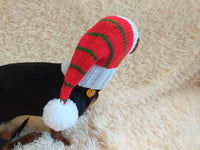 Dachshund elf hat, christmas dachshund hat, christmas dog clothes dachshundknit