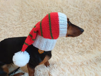 Dachshund elf hat, christmas dachshund hat, christmas dog clothes dachshundknit