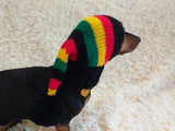 Rainbow Striped Christmas Dog Hat dachshundknit