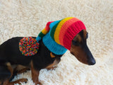 Rainbow Striped Christmas Dog Hat dachshundknit