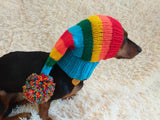 Rainbow Striped Christmas Dog Hat dachshundknit
