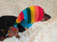 Rainbow Striped Christmas Dog Hat dachshundknit