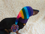 Rainbow Striped Christmas Dog Hat dachshundknit
