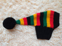 Rainbow Striped Christmas Dog Hat dachshundknit