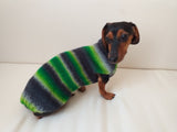 Bright knitted striped sweater for a dog, dachshund clothes knitted sweater, knitted wool sweater for dachshund or small dog dachshundknit