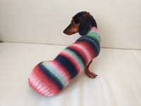 Rainbow sweater for a dachshund or small dog dachshundknit