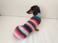 Rainbow sweater for a dachshund or small dog dachshundknit
