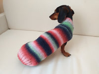 Rainbow sweater for a dachshund or small dog dachshundknit