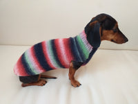 Rainbow sweater for a dachshund or small dog dachshundknit