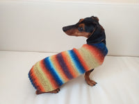 Rainbow sweater for a dachshund or small dog dachshundknit