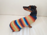 Rainbow sweater for a dachshund or small dog dachshundknit