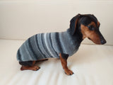 Rainbow sweater for a dachshund or small dog dachshundknit