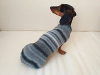 Rainbow sweater for a dachshund or small dog dachshundknit