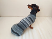 Rainbow sweater for a dachshund or small dog dachshundknit