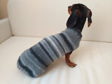 Rainbow sweater for a dachshund or small dog dachshundknit