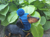 Hat for dog with pompom and holes for the ears dachshundknit