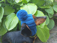 Hat for dog with pompom and holes for the ears dachshundknit