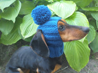 Hat for dog with pompom and holes for the ears dachshundknit