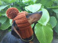 Hat for dog with pompom and holes for the ears dachshundknit