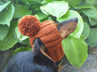 Hat for dog with pompom and holes for the ears dachshundknit