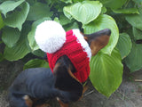 Hat for dog with pompom and holes for the ears dachshundknit