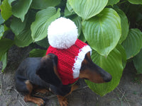 Hat for dog with pompom and holes for the ears dachshundknit