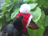 Hat for dog with pompom and holes for the ears dachshundknit