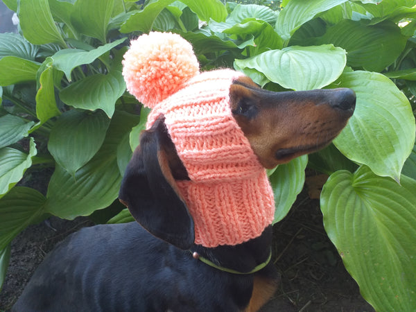 Hat for dog with pompom and holes for the ears dachshundknit