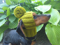 Hat for dog with pompom and holes for the ears dachshundknit