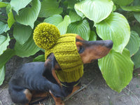 Hat for dog with pompom and holes for the ears dachshundknit