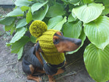 Hat for dog with pompom and holes for the ears dachshundknit