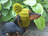 Hat for dog with pompom and holes for the ears dachshundknit