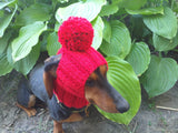 Hat for dog with pompom and holes for the ears dachshundknit