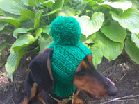 Winter Knitted Hat for Dachshund with Open Ears,Dog Hat for Photoshoot dachshundknit