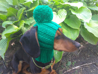 Winter Knitted Hat for Dachshund with Open Ears,Dog Hat for Photoshoot dachshundknit