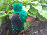 Winter Knitted Hat for Dachshund with Open Ears,Dog Hat for Photoshoot dachshundknit