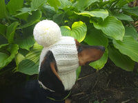 Winter Knitted Hat for Dachshund with Open Ears,Dog Hat for Photoshoot dachshundknit