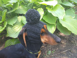 Winter Knitted Hat for Dachshund with Open Ears,Dog Hat for Photoshoot dachshundknit